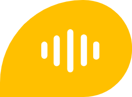 VoiceSay Logo
